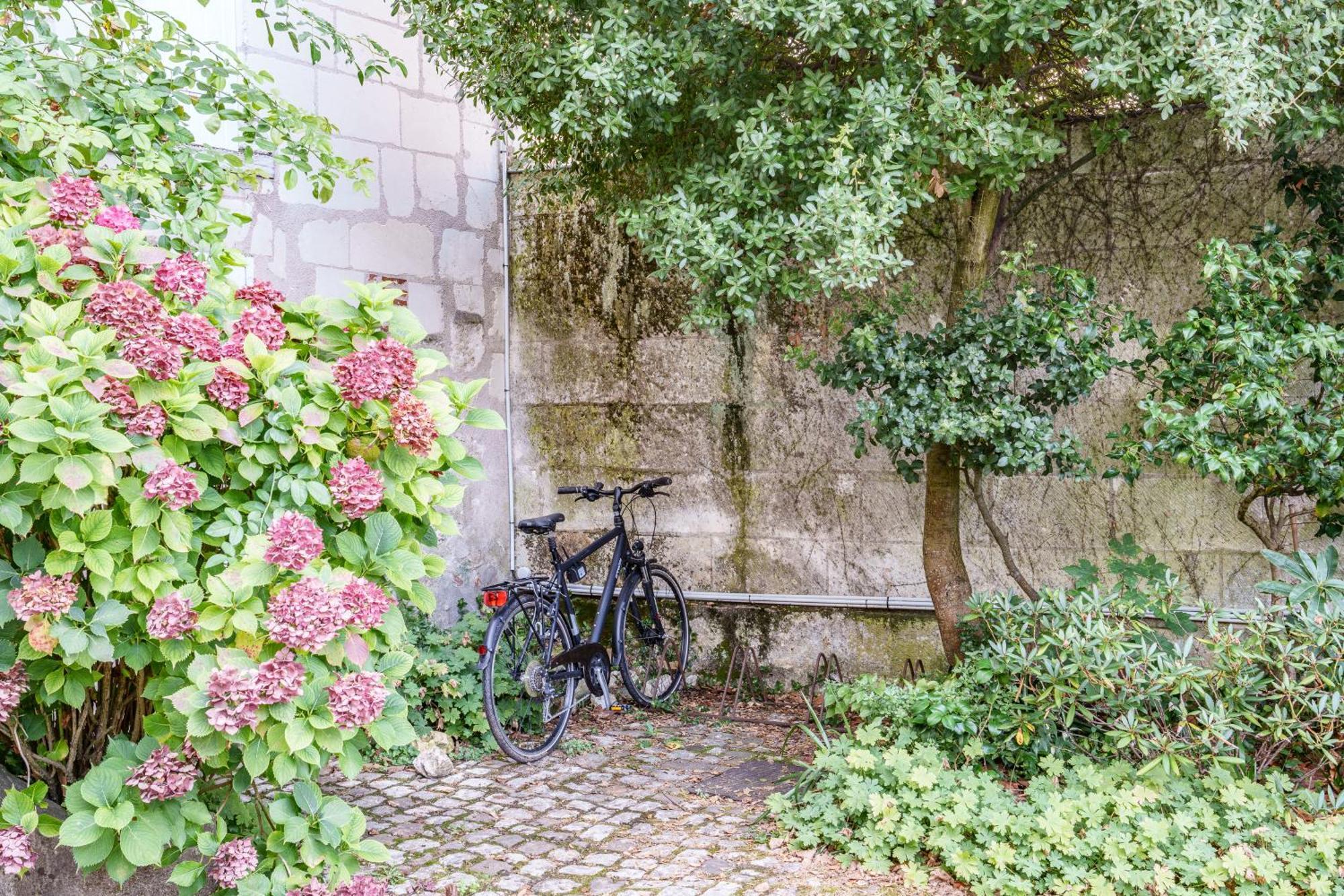 Raffine Vue Cathedrale, Jardin, Wifi *